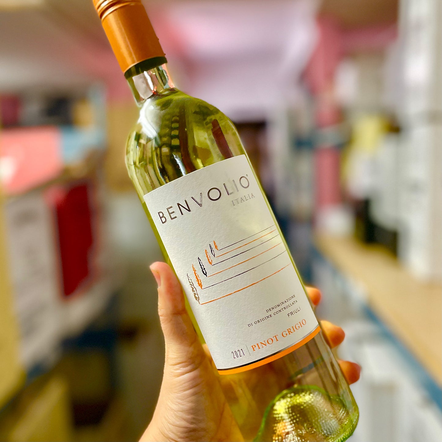 Benvolio Pinot Grigio