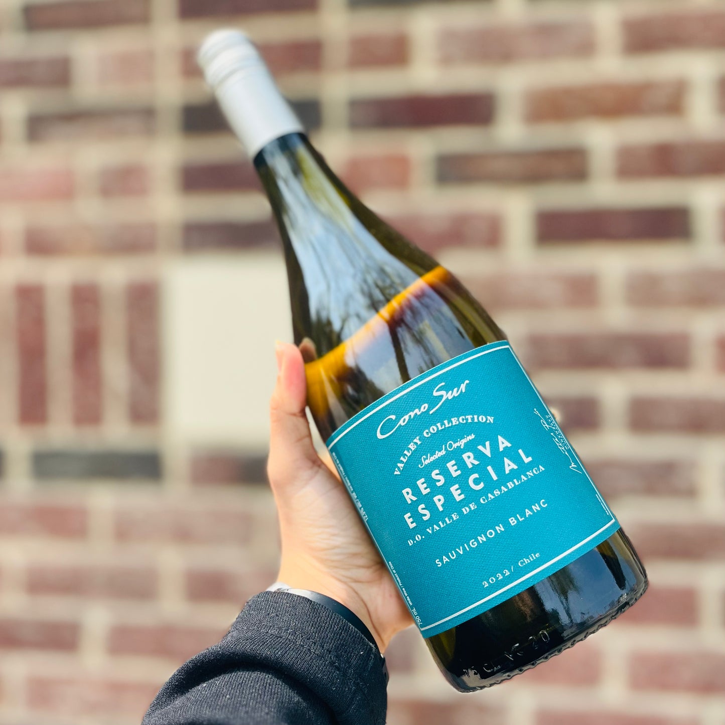 Cono Sur Reserva Sauvignon Blanc