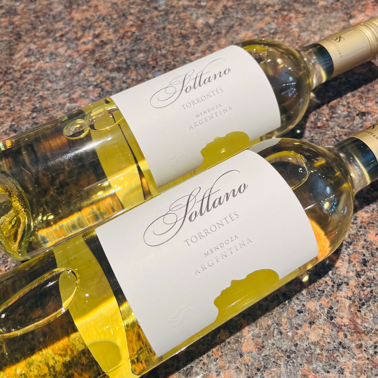 Sottano Torrontes Reserva