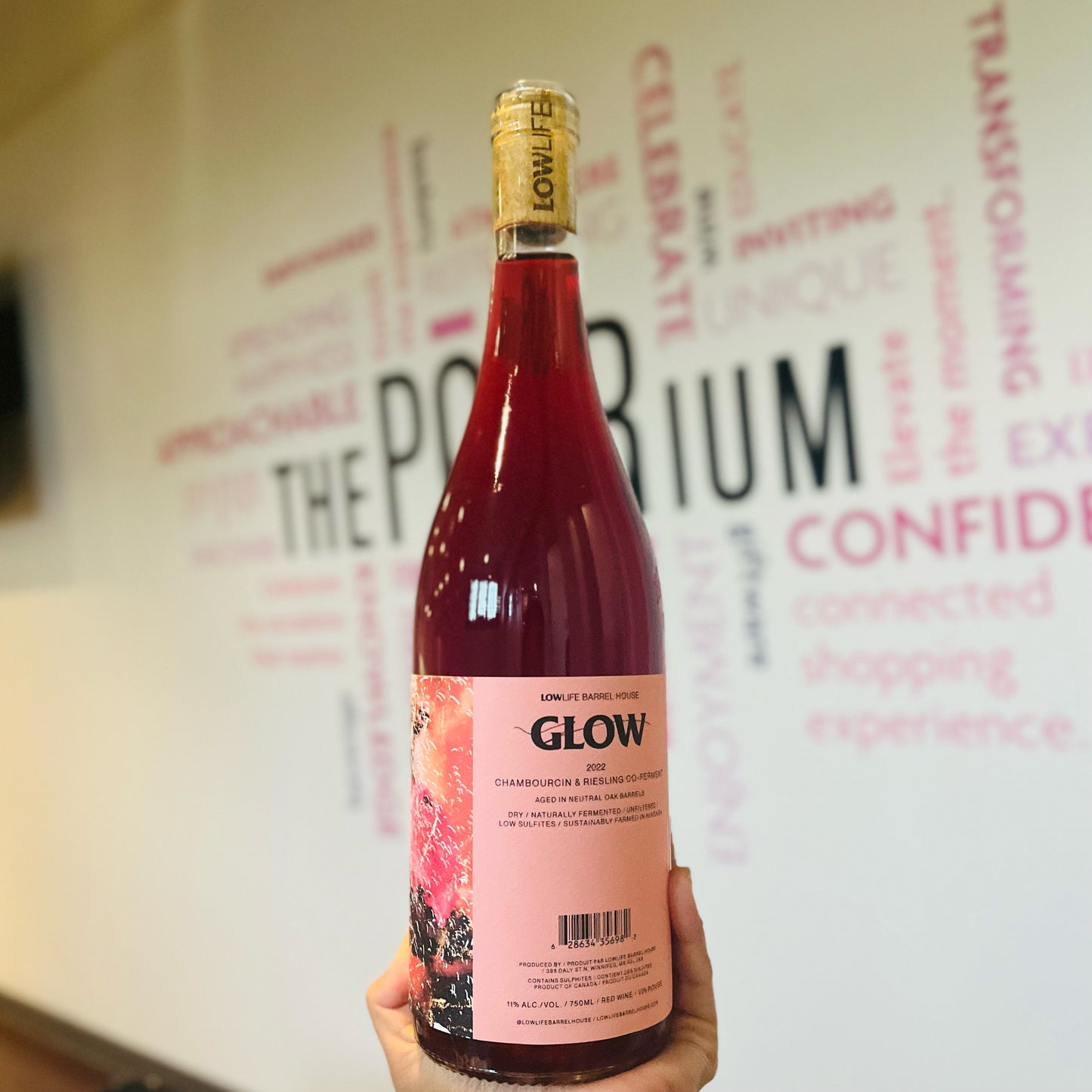 LOW LIFE BARREL HOUSE GLOW CHAMBOURCIN RIESLING CO-FERMENT