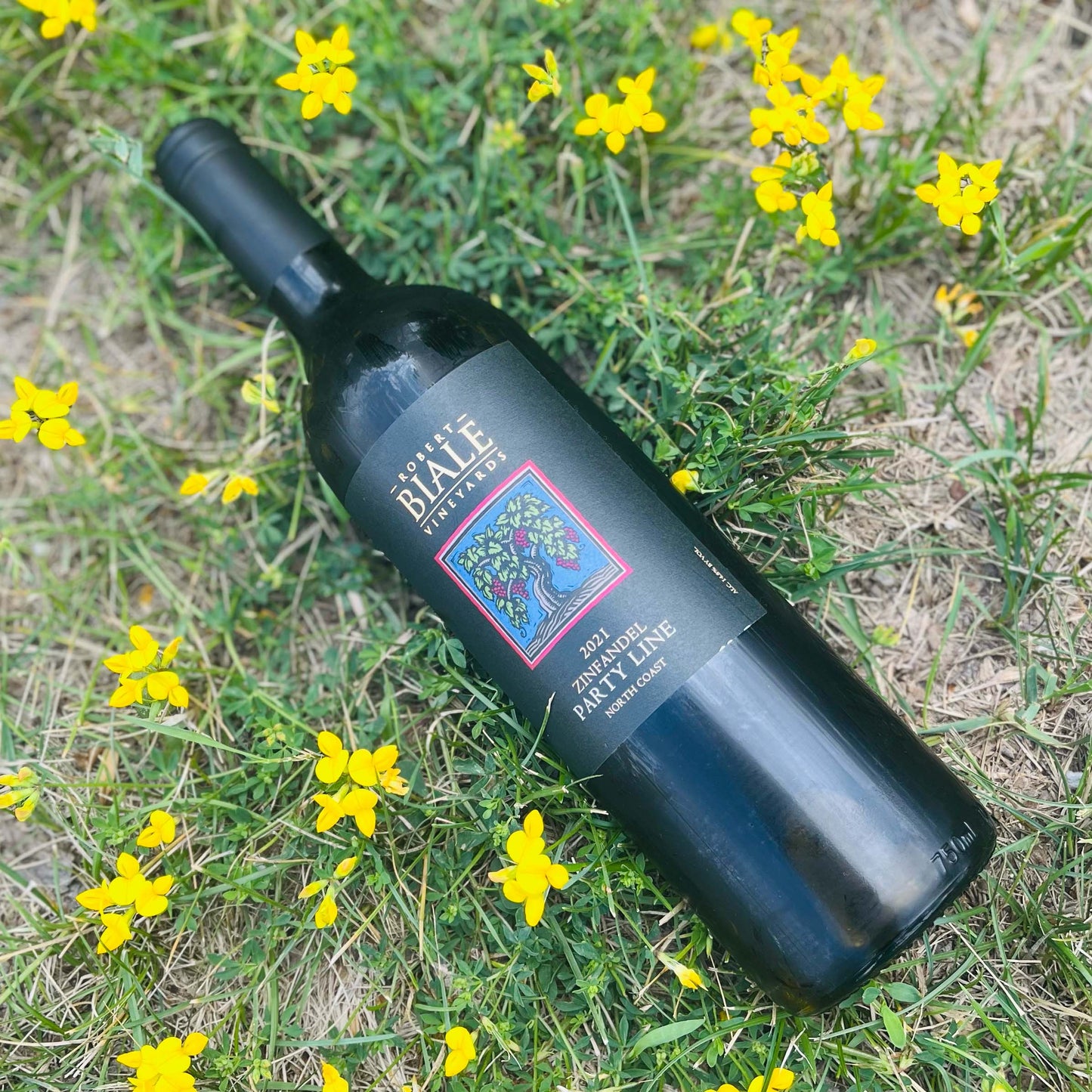 Robert Biale Party Line ZINFANDEL