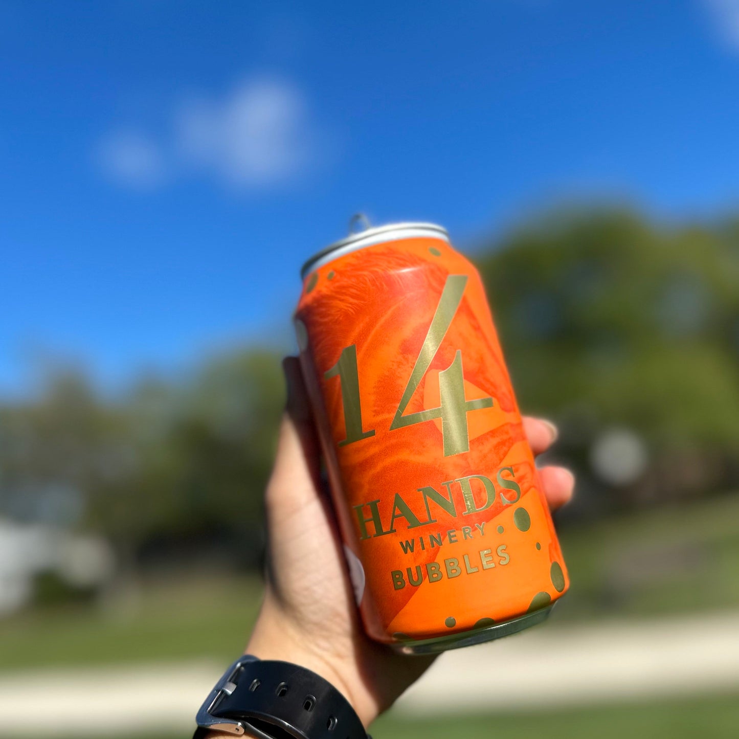 14 HANDS BUBBLES