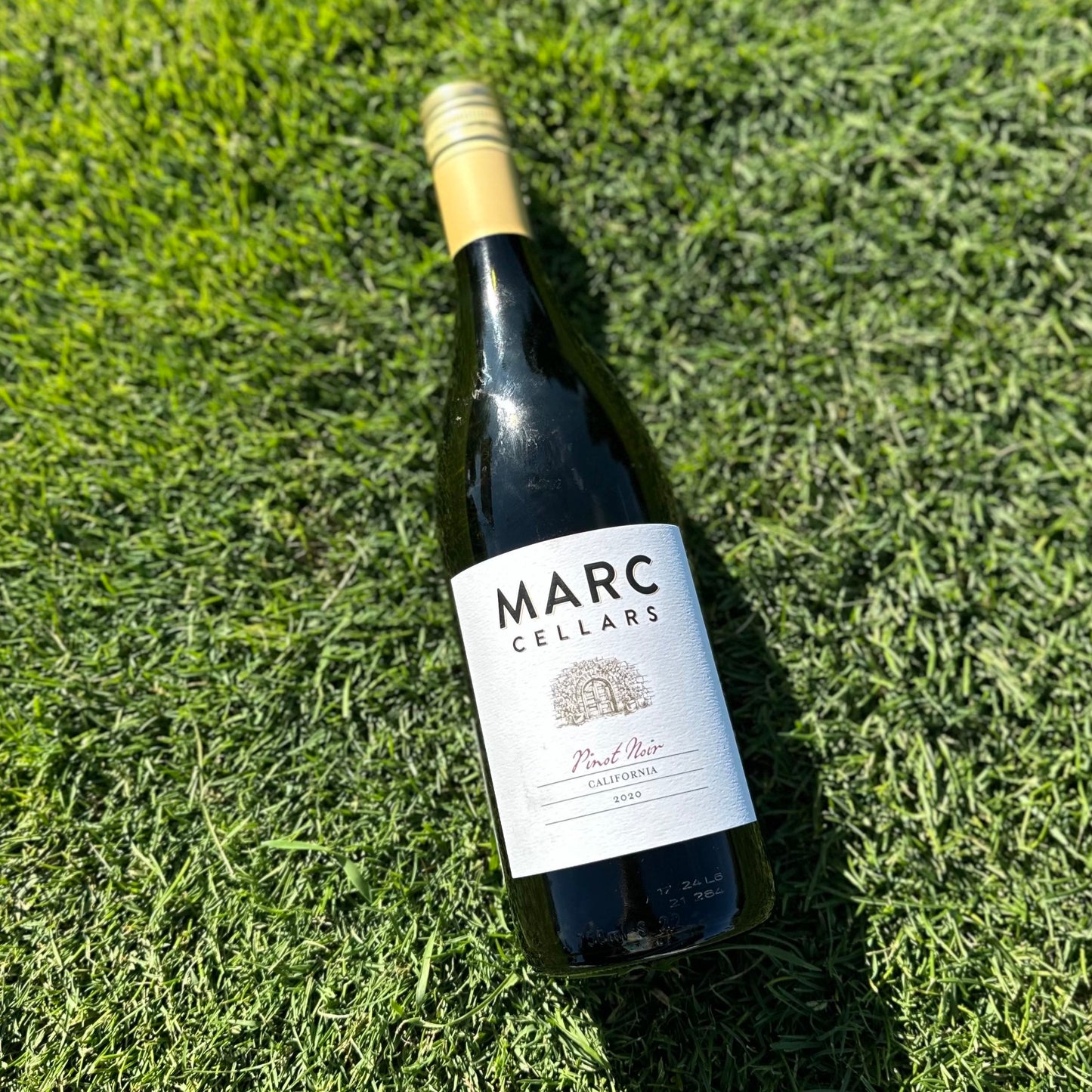 Marc Cellars Pinot Noir