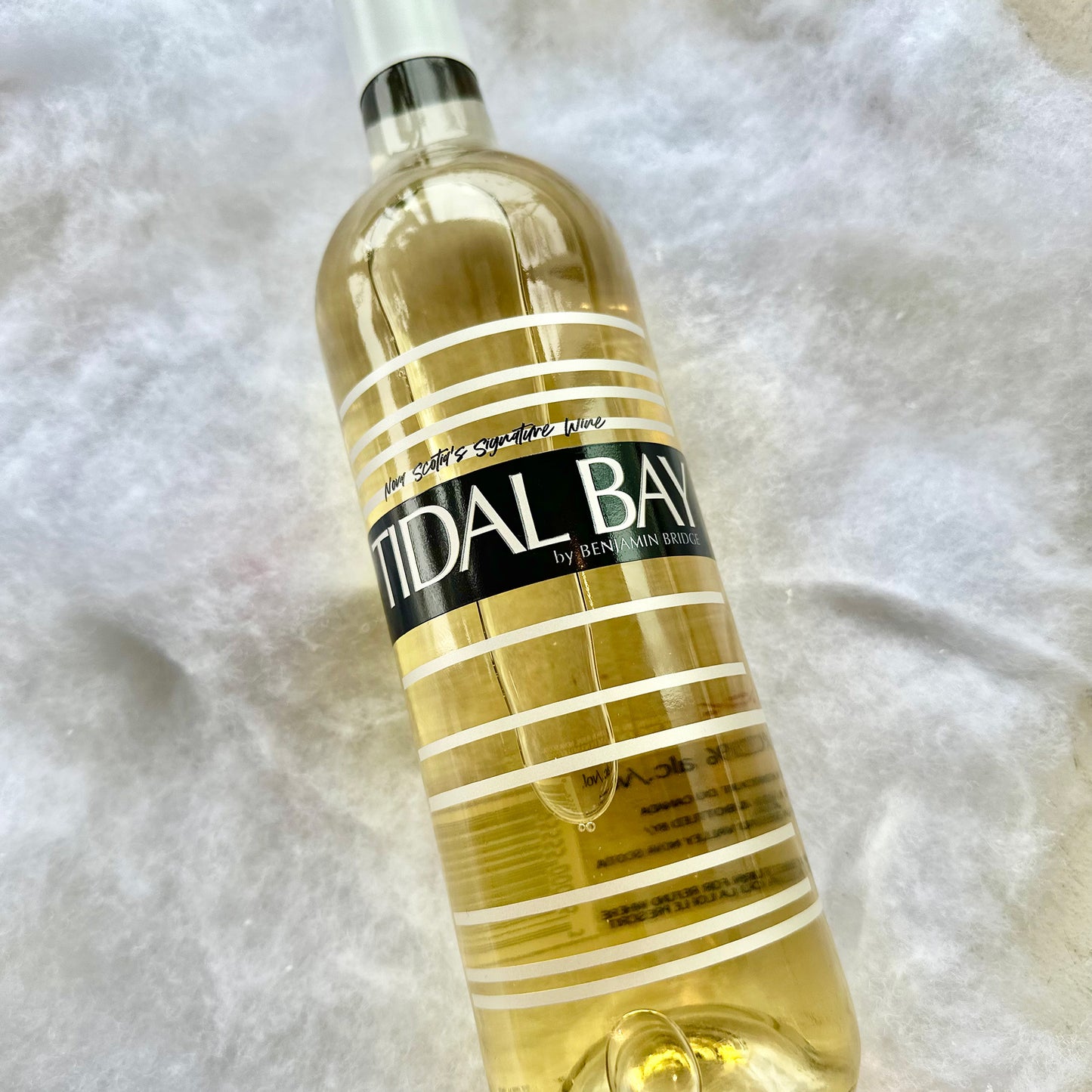 BENJAMIN BRIDGE TIDAL BAY