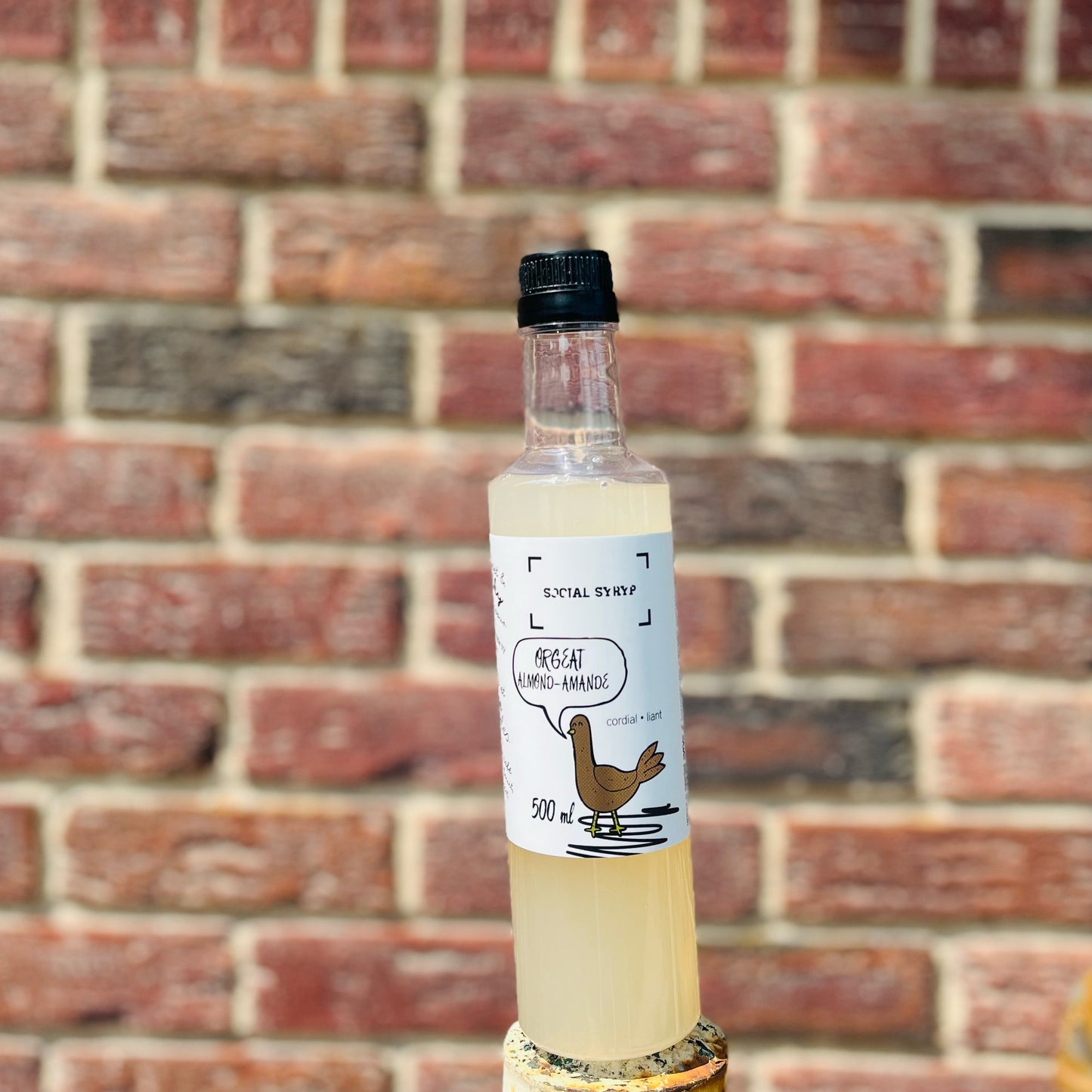 SOCIAL SYRYP ORGEAT CORDIAL