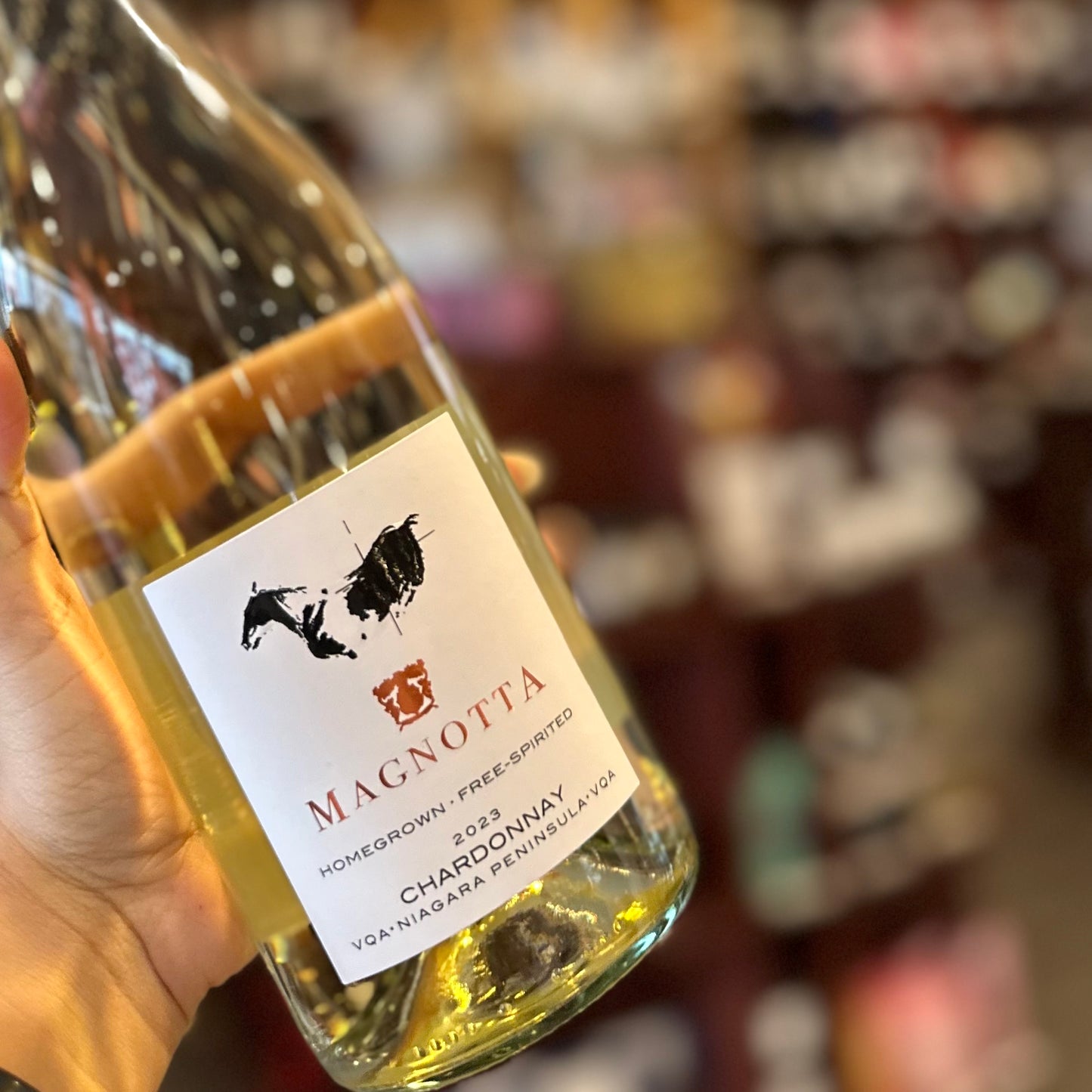 MAGNOTTA EQUUS CHARDONNAY