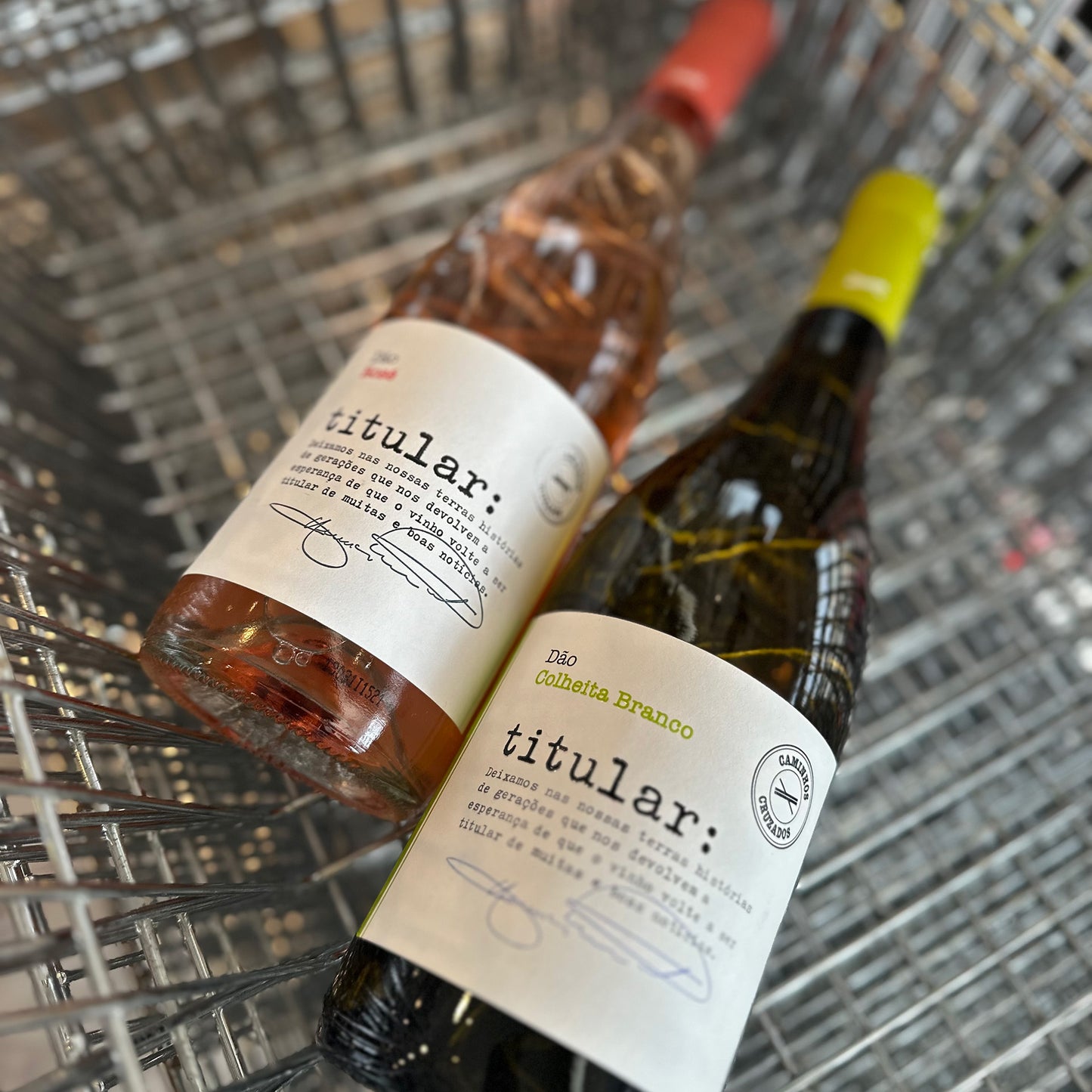 CAMINHOS CRUZADOS TITULAR COLHEITA BRANCO