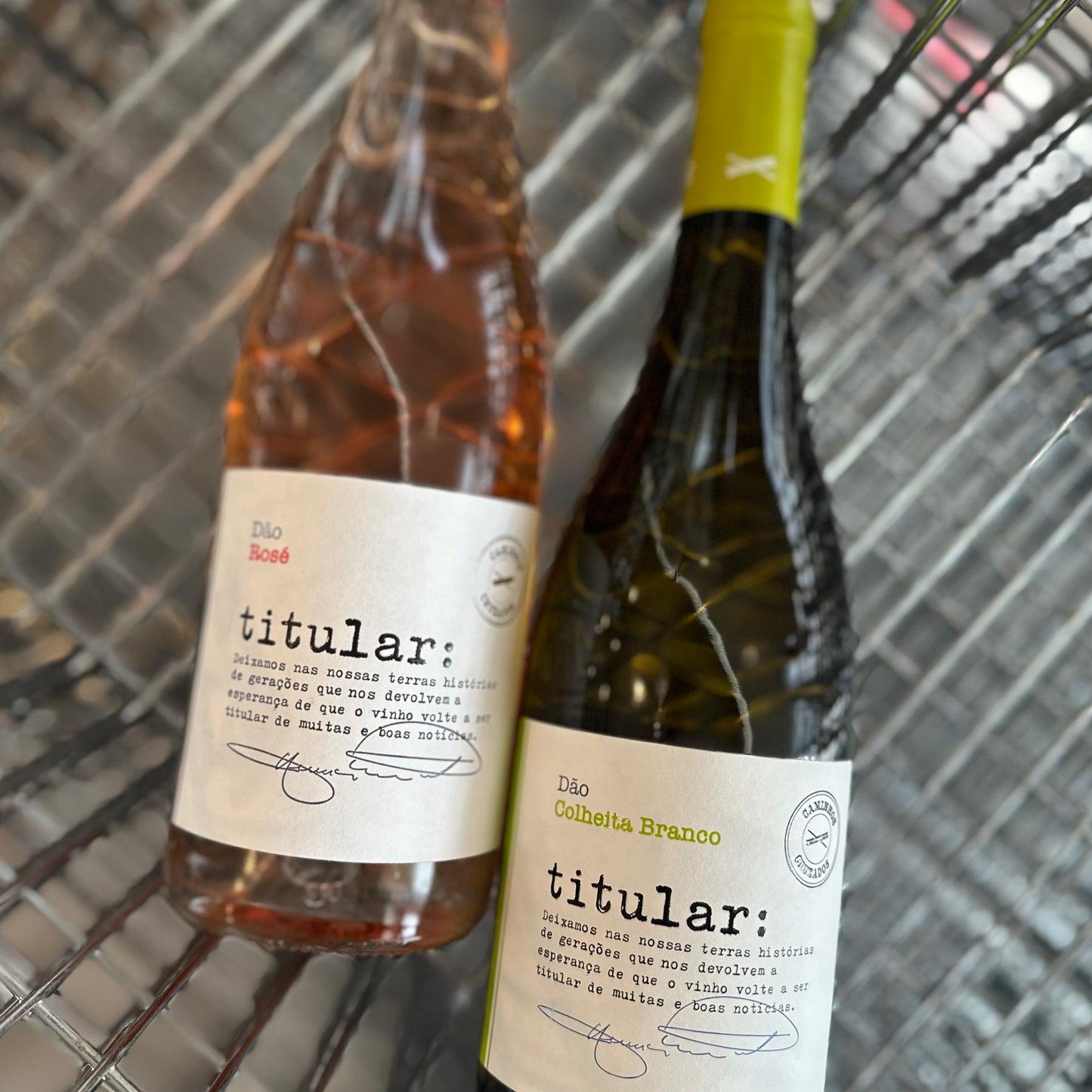 CAMINHOS CRUZADOS TITULAR ROSE