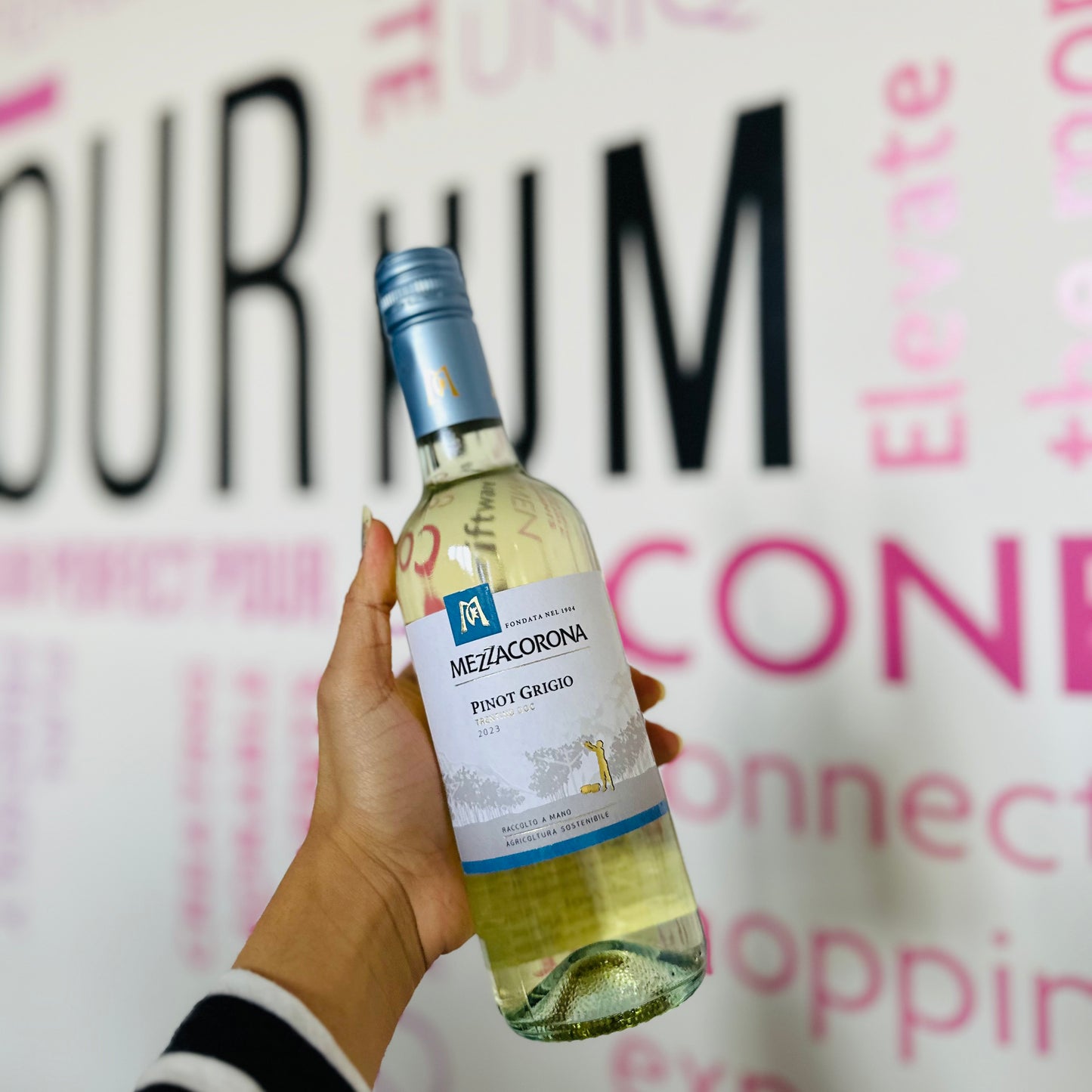 MEZZACORONA PINOT GRIGIO