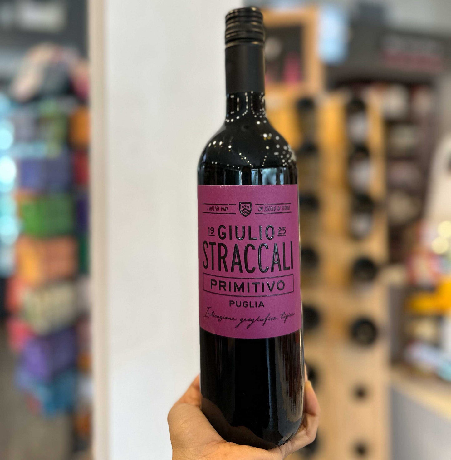 GIULIO STRACCALI PRIMITIVO