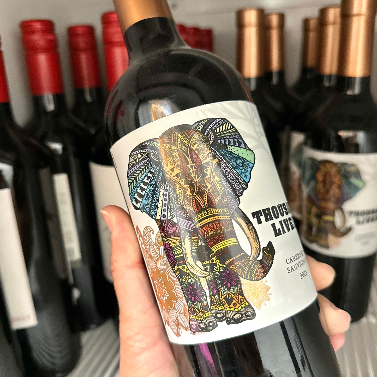 Thousand Lives Cabernet Sauvignon