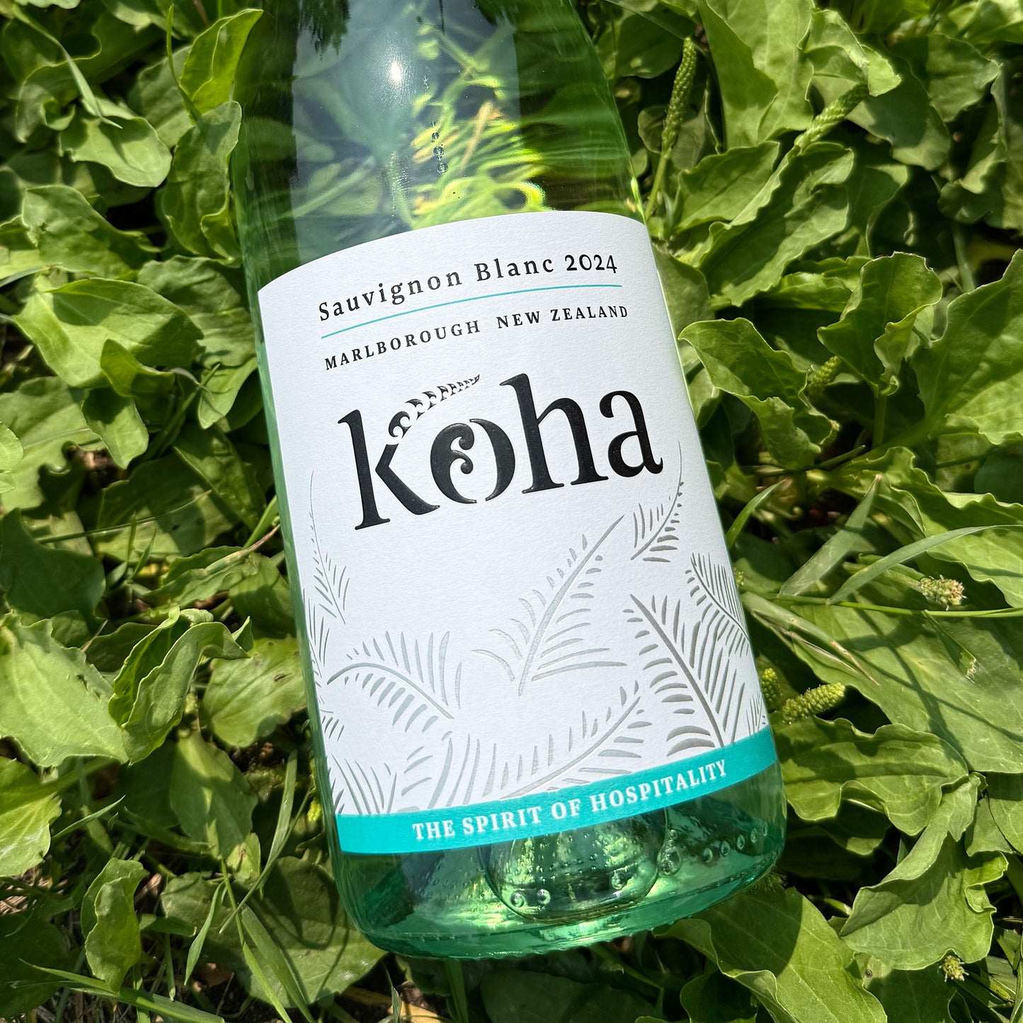 KOHA SAUVIGNON BLANC