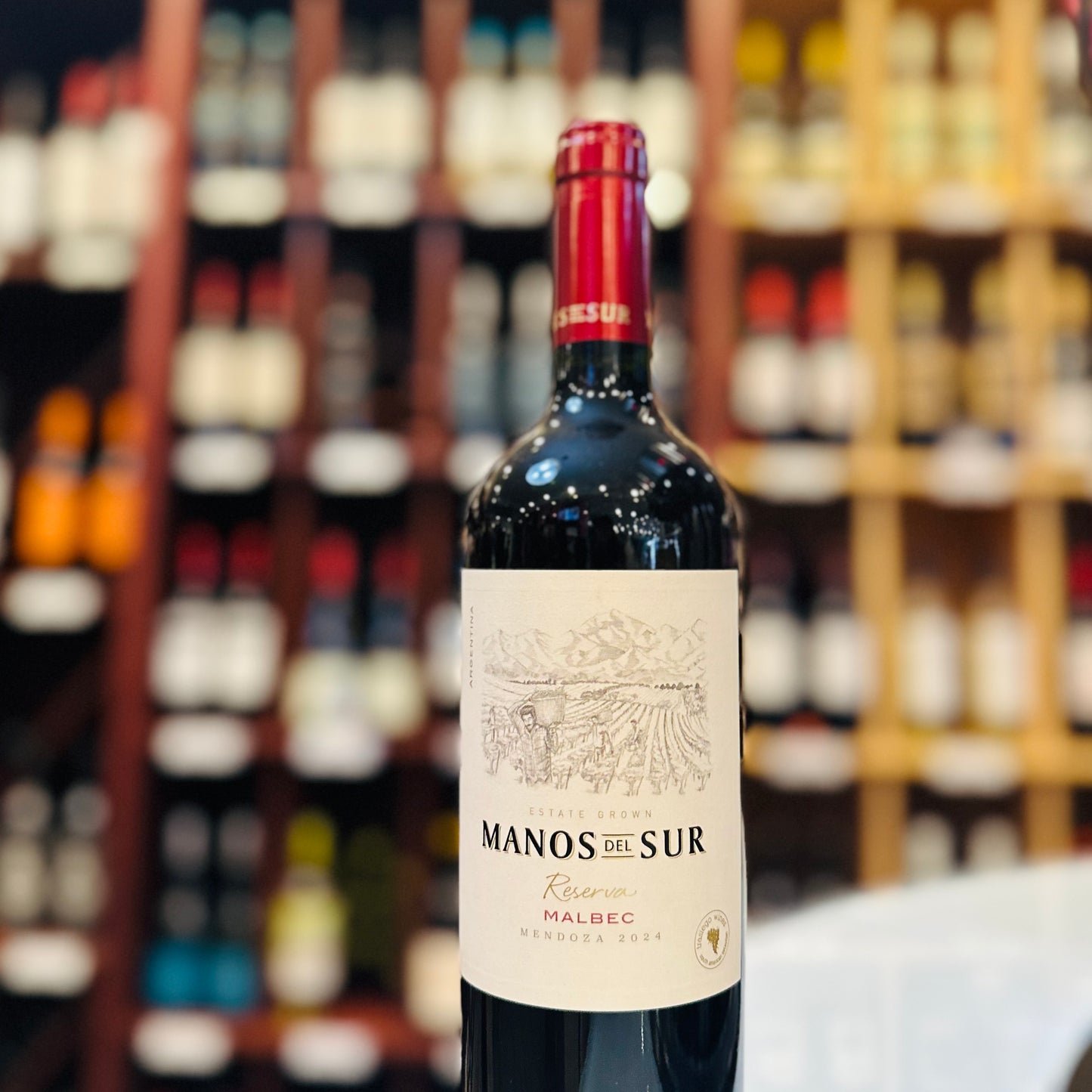 Manos del Sur Reserva Malbec