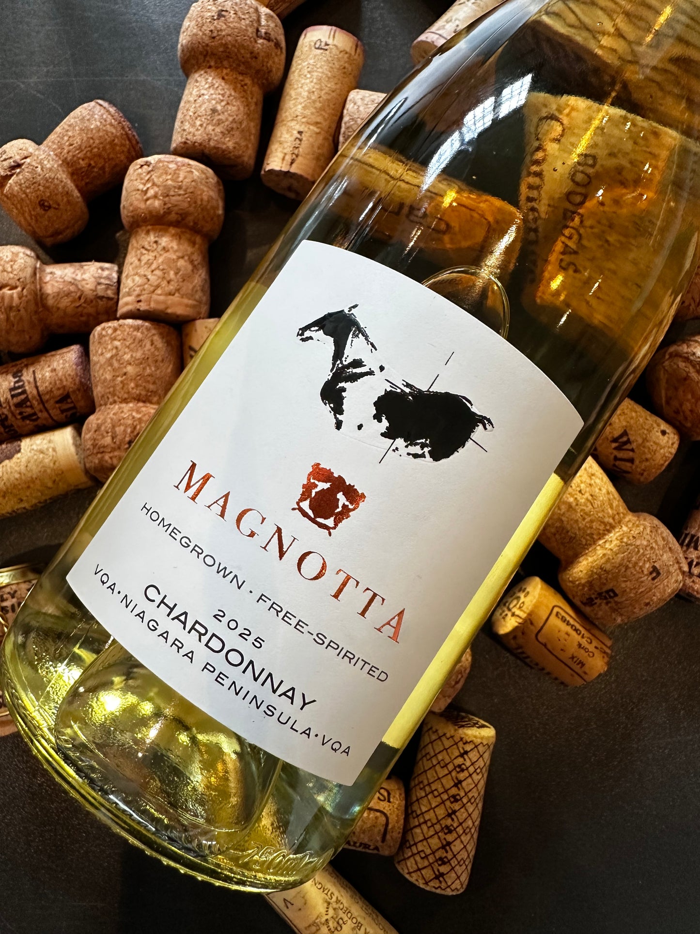 MAGNOTTA EQUUS CHARDONNAY
