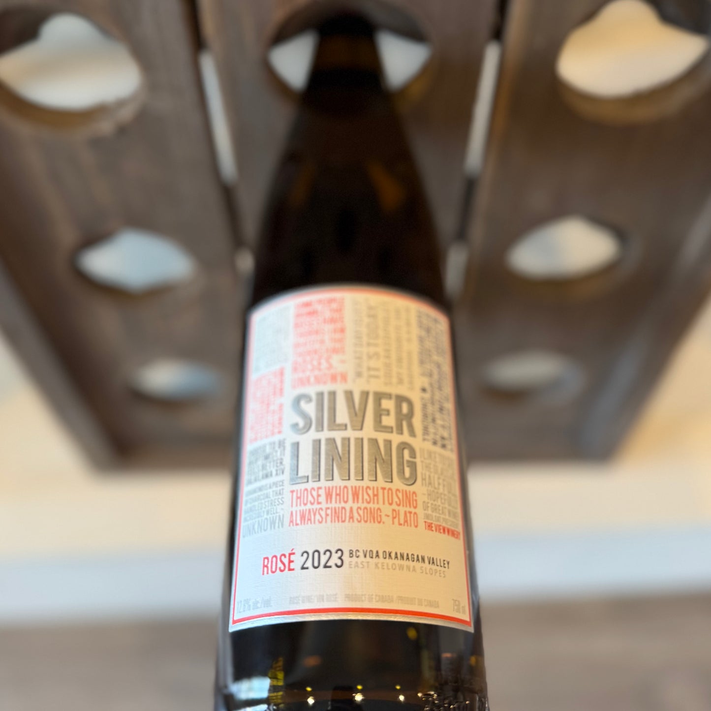 THE VIEW SILVER LINING ROSE