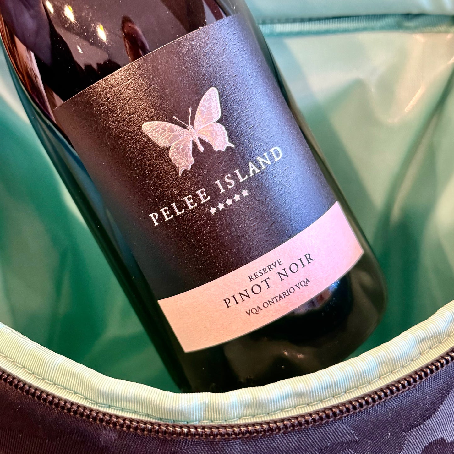 Pelee Island Reserve Pinot Noir VQA