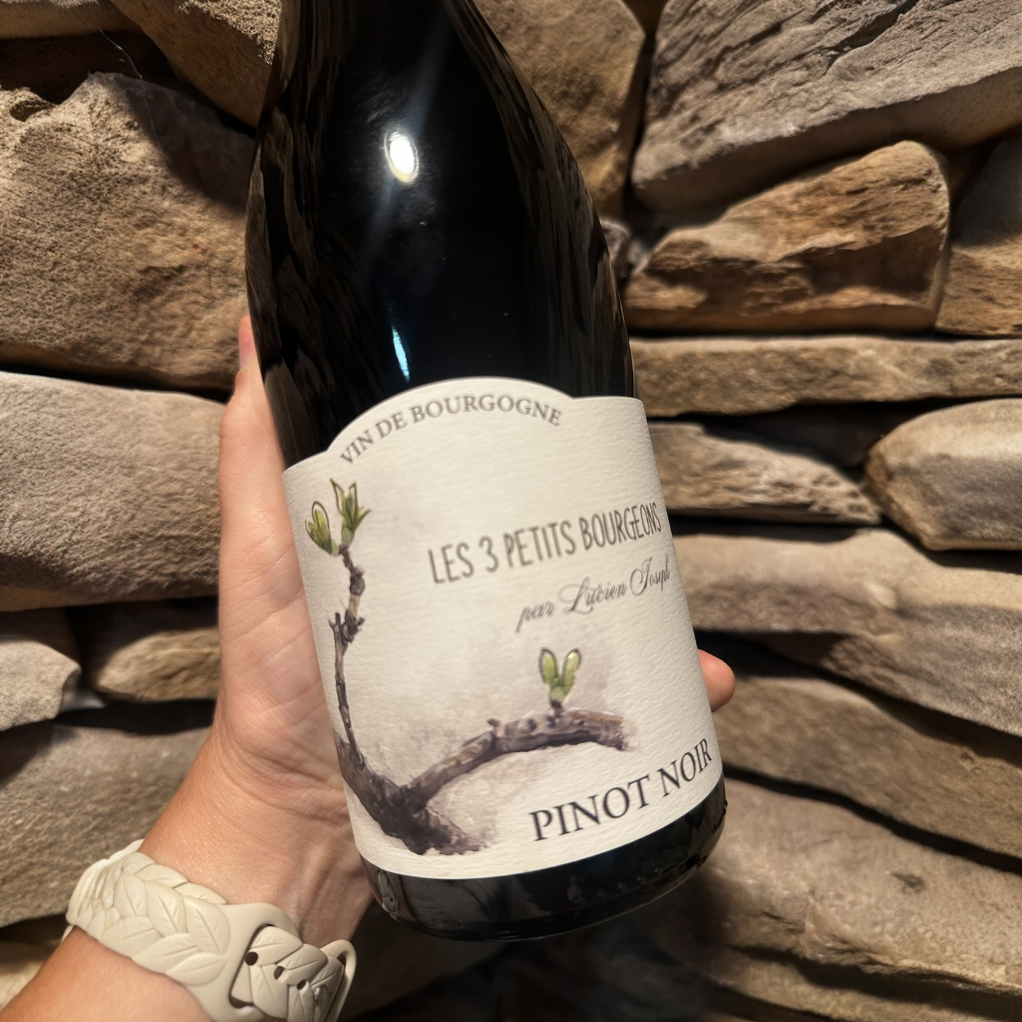 Lucien Joseph Les 3 Petits Bourgeons Pinot Noir