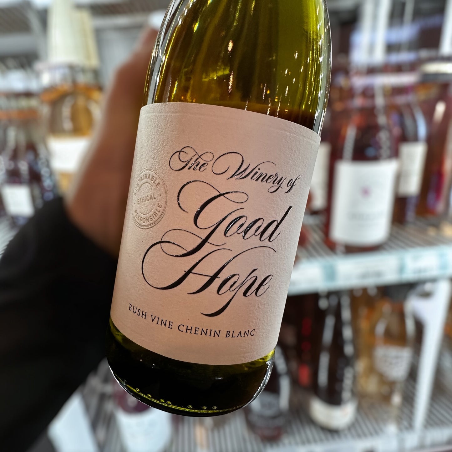 GOOD HOPE BUSH VINE CHENIN BLANC