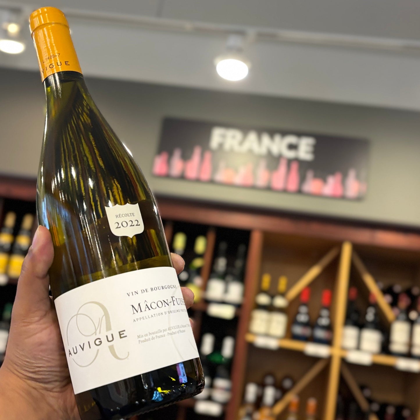 DOMAINE AUVIGUE MÂCON FUISSÉ