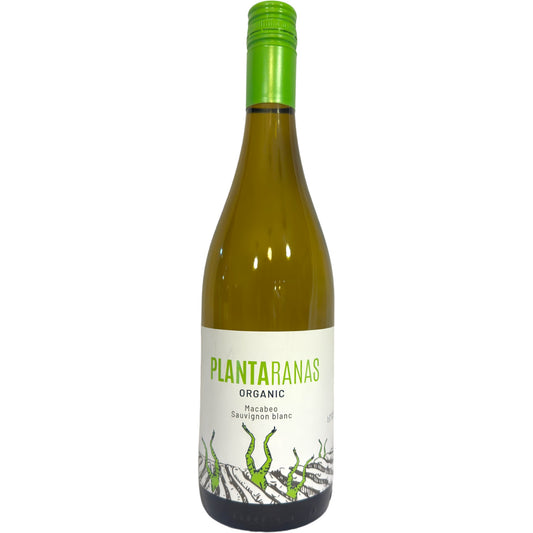 PLANTARANAS MACABEO/SAUVIGNON BLANC