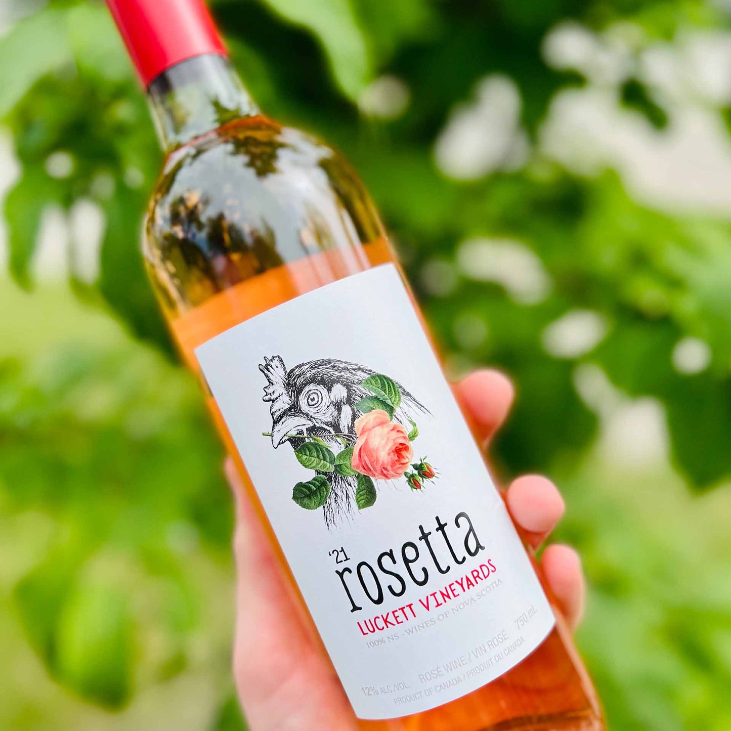 LUCKETT VINEYARD ROSETTA