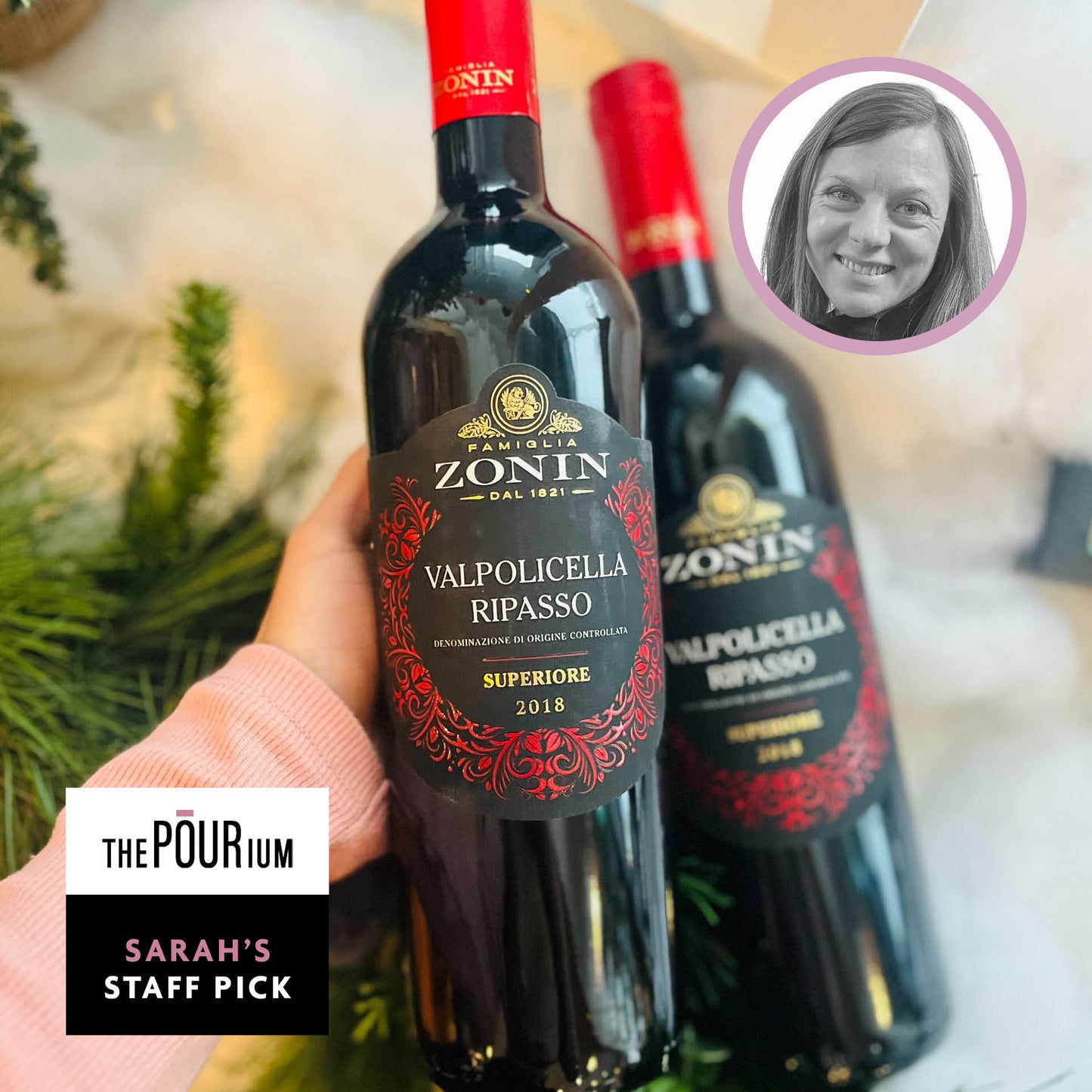 ZONIN VALPOLICELLA RIPASSO