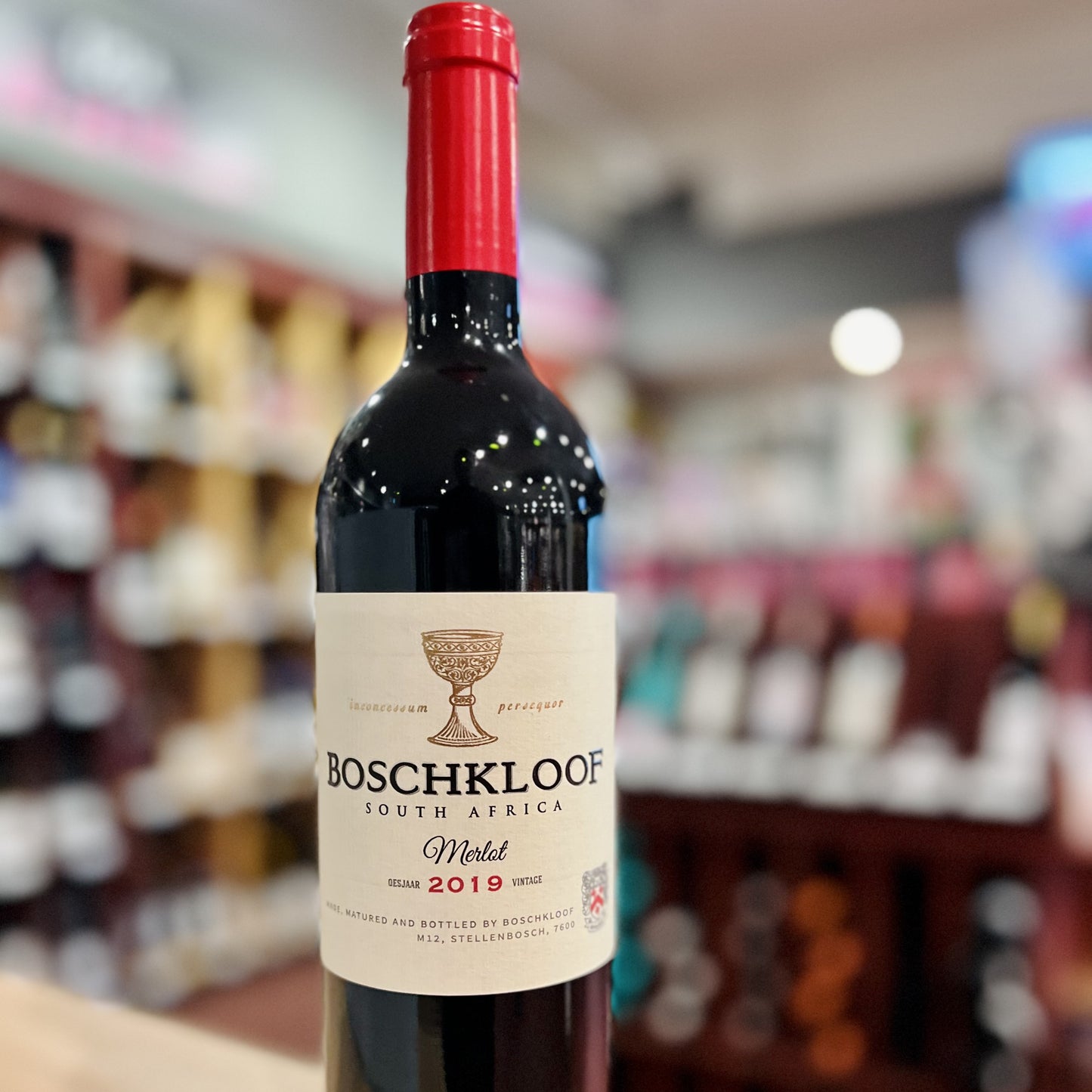 BOSCHKLOOF WINES MERLOT