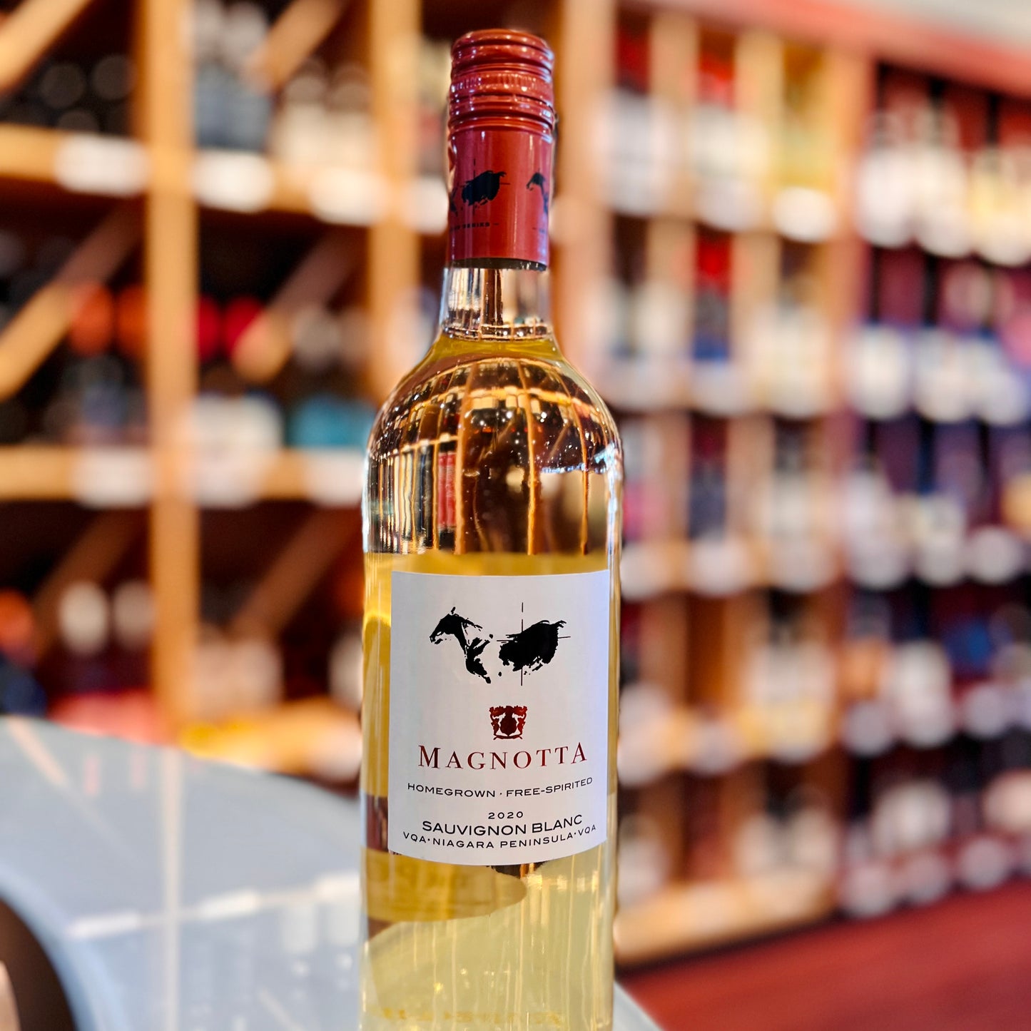 MAGNOTTA EQUUS SAUVIGNON BLANC