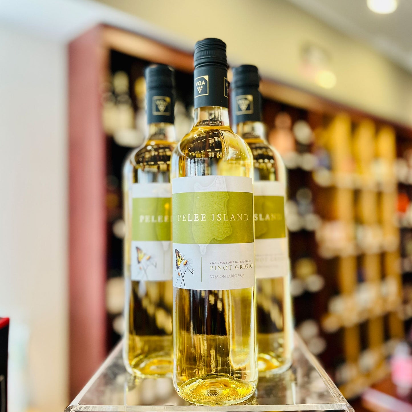 PELEE ISLAND PINOT GRIGIO