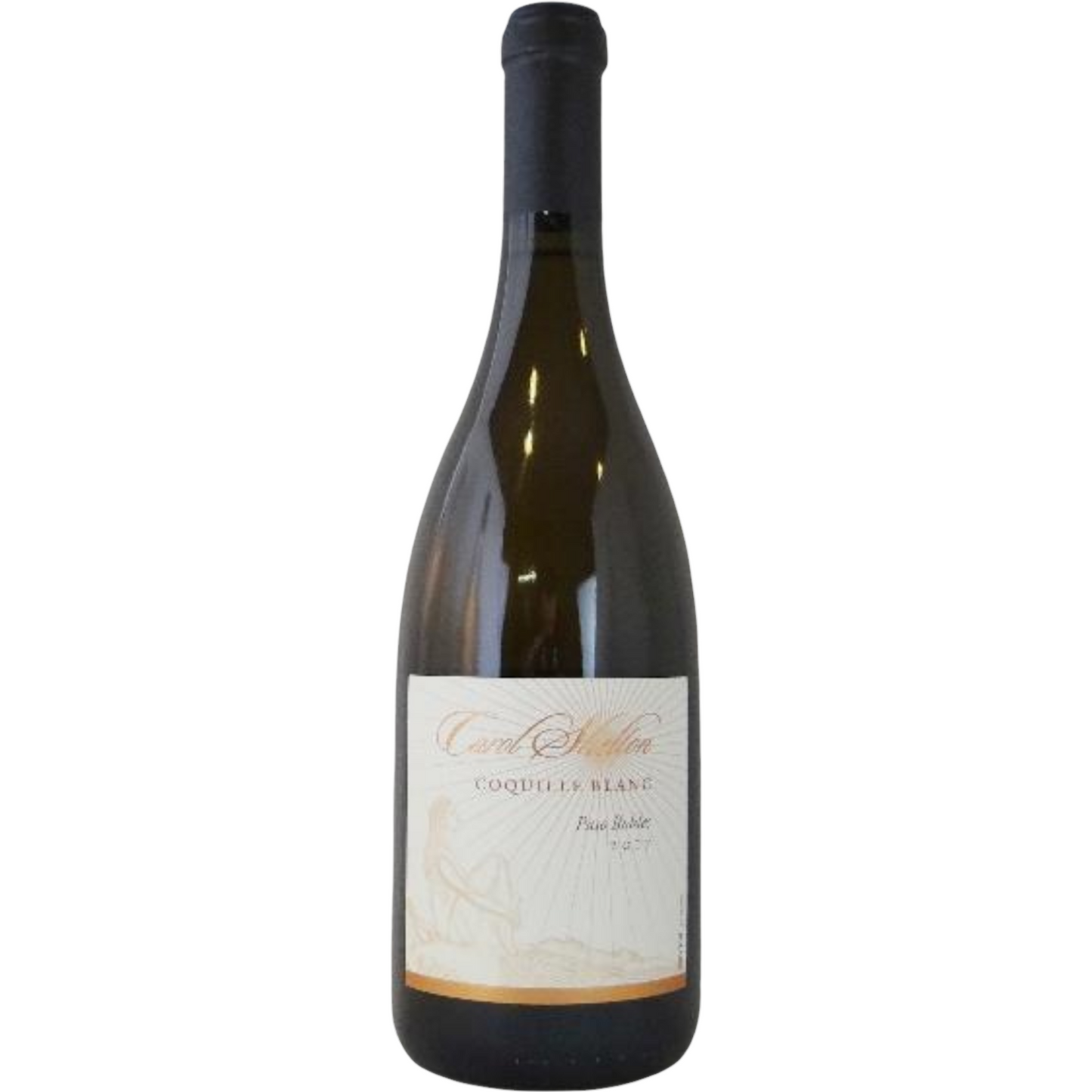 CAROL SHELTON COQUILLE BLANC