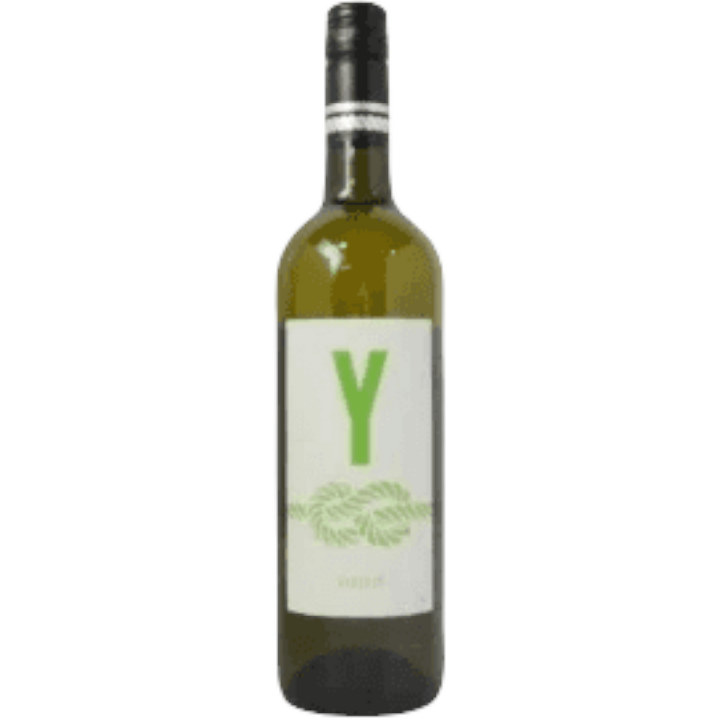 Y KNOT VERDEJO