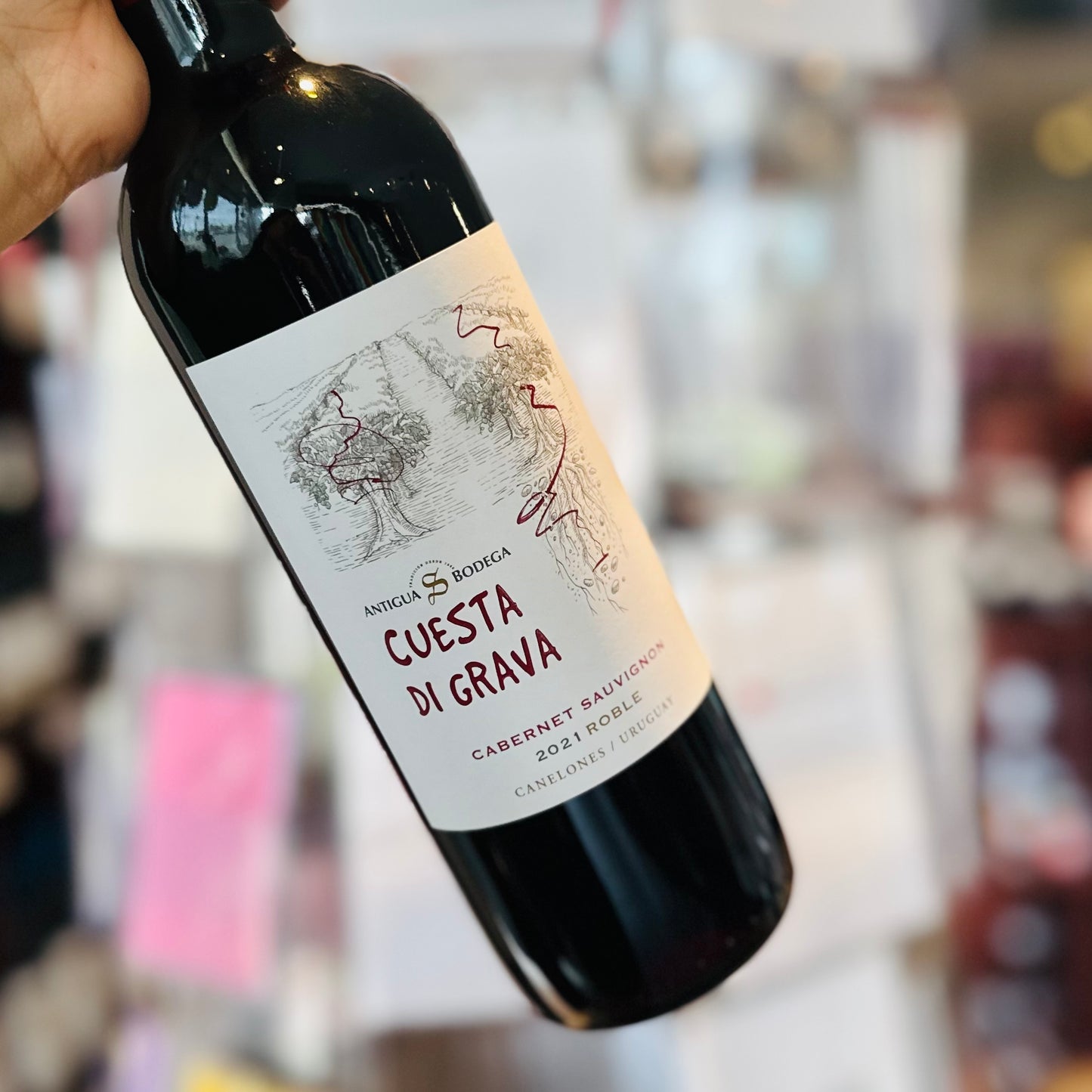 Cuesta Di Grava Cabernet Sauvignon