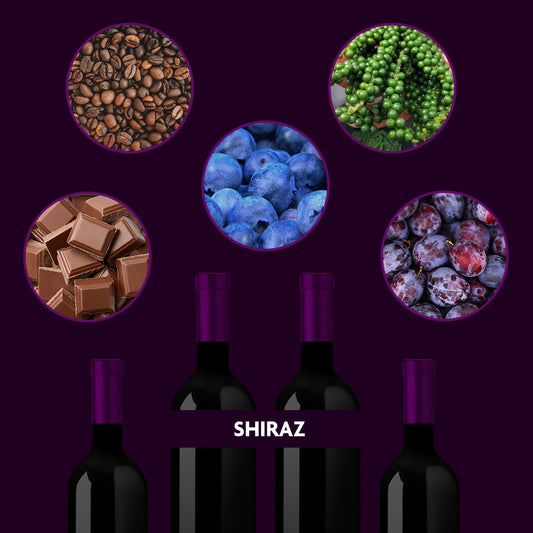 Shiraz Varietal Pack