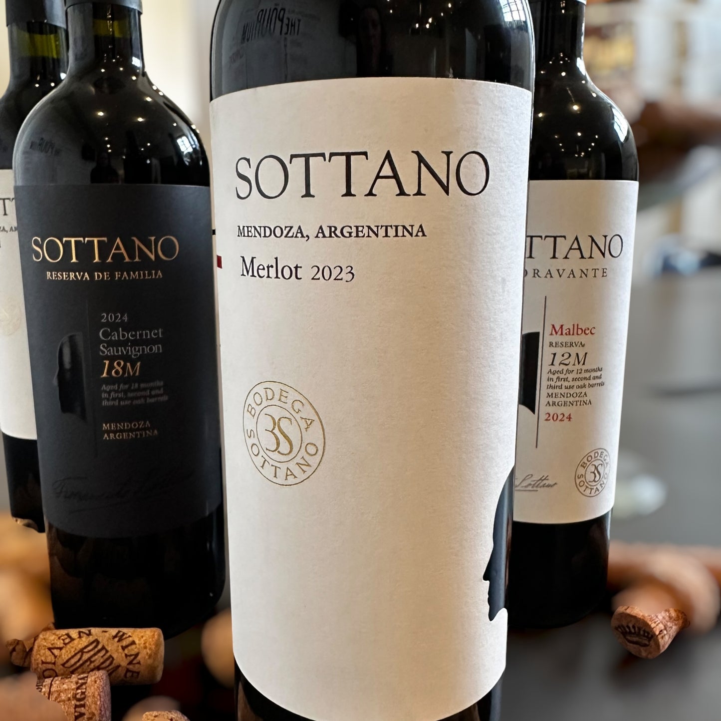 Sottano Merlot