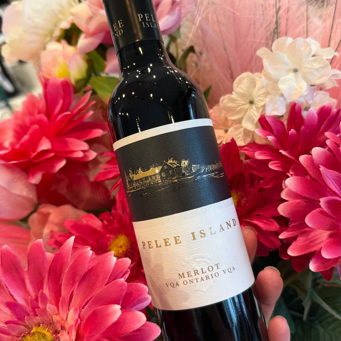 PELEE ISLAND MERLOT VQA