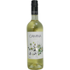 Camina Verdejo